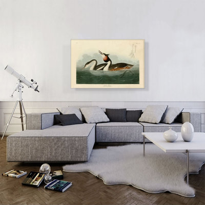 «Crêté grèbe» par James Audubon, reproduction d'art sur toile tendue