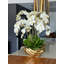 Orchid Floral Arrangement in Vase-832478505