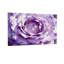 Plantes et fleurs, aquarelle rose mauve-1450714829