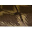 Geometric Area Rug in Brown