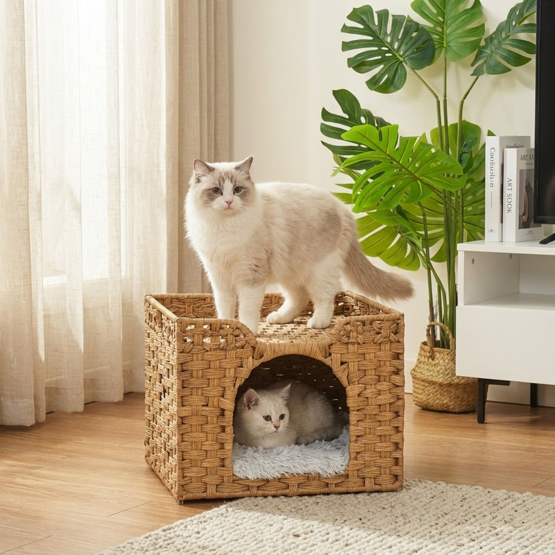 Grotte en rotin tissée à la main pour chats d'intérieur, grand cube pour animaux de compagnie avec un tapis de lit, cachette pliable, naturel, 16,5 x 16,5 x 13,2 po, comprend 2 crochets en forme de S