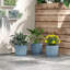 Pot Planter-600870902-600870896