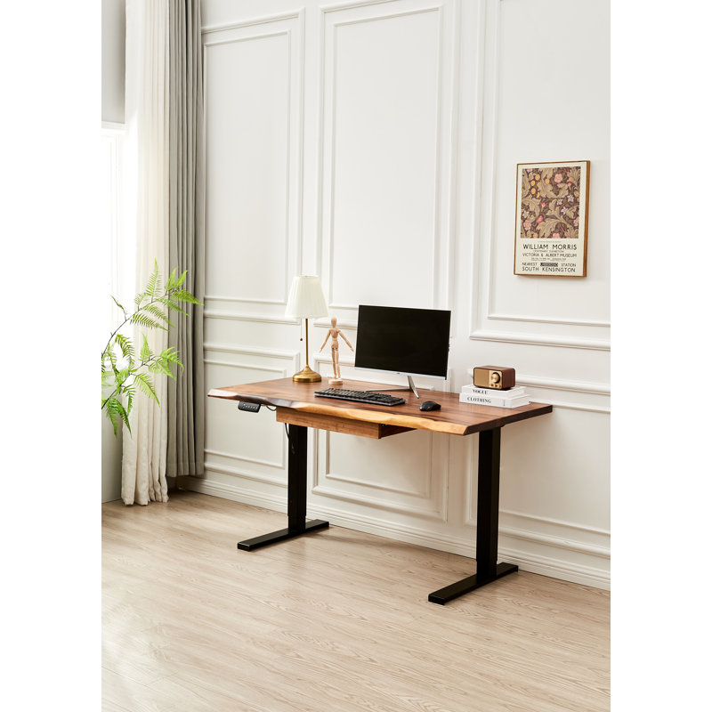  Adjustable Standing Desk with South American Walnut, Live Edge Desk with Drawer Storage, Black, 29.5" H x 58" W x 28" D