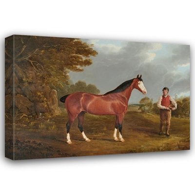 "The Racehorse ‘Whiteface’ with Groom J. Gilham" by  John Frederick Herring Snr. - Gallery Wrap Canvas Wall Art