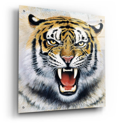 " Tiger " by Harro Maass
