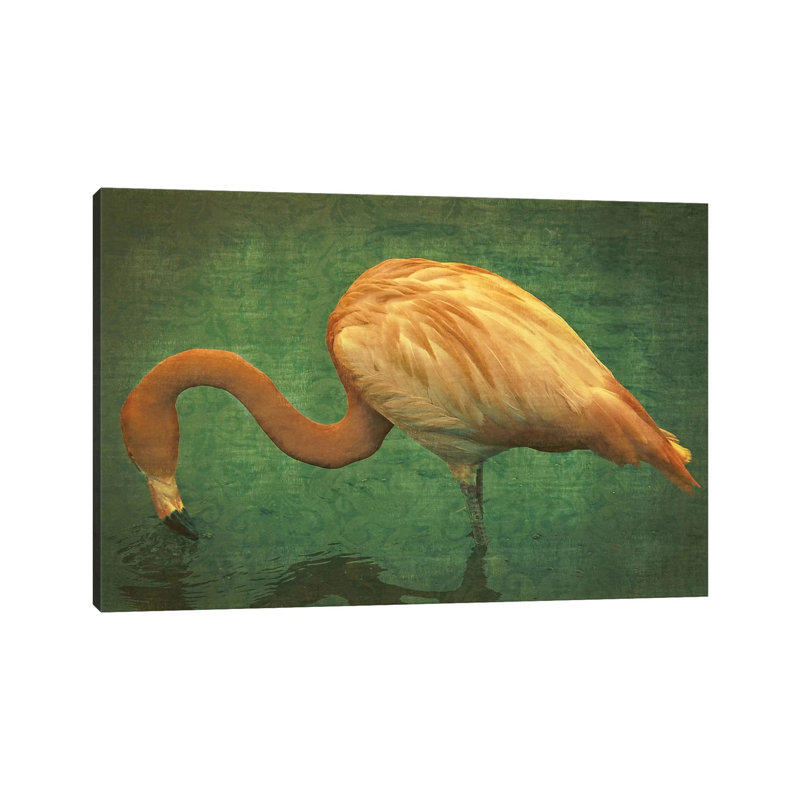 Caribbean Flamingo - Wrapped Canvas Print, 66.04 cm H x 45.72 cm W x 1.91 cm D