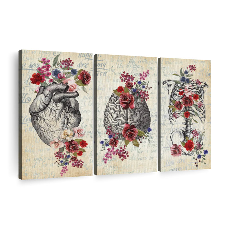 «Anatomy Floral», reproduction d'art sur toile, H 32 po x l 50 po x P 1,25 po