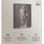 Adonis, toile classique par Art Remedy-107456934-107456961