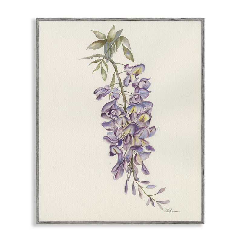 «Delicate Hyacinths Study», estampe numérique, conception de Cady, 14 x 11, Farmhouse Grey Giclee Framed