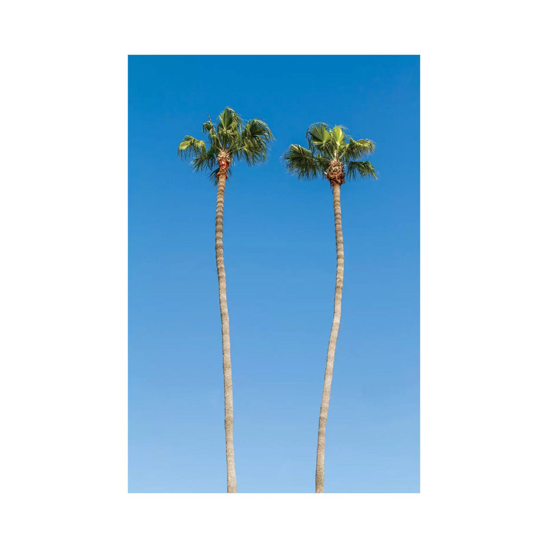 Palm Trees by Melanie Viola - Wrapped Canvas Print, 20.32 cm H x 30.48 cm W