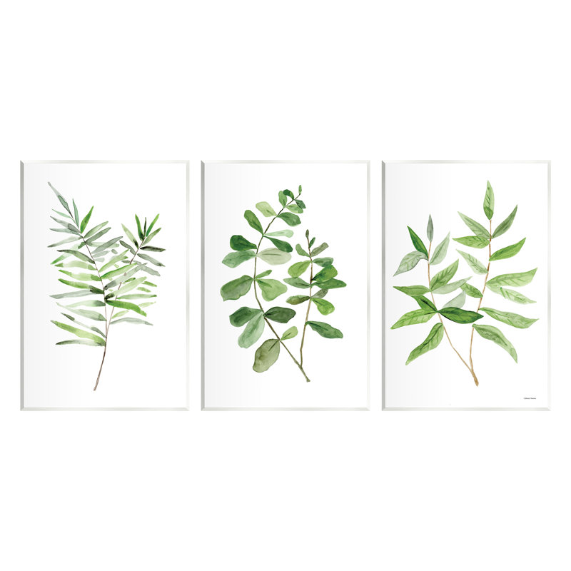 «Kitchen Herb Bunches Botanicals» par Sally Swatland - ensemble de 3 impressions, H 19 po x l 39 po x P 0,5 po, Bois