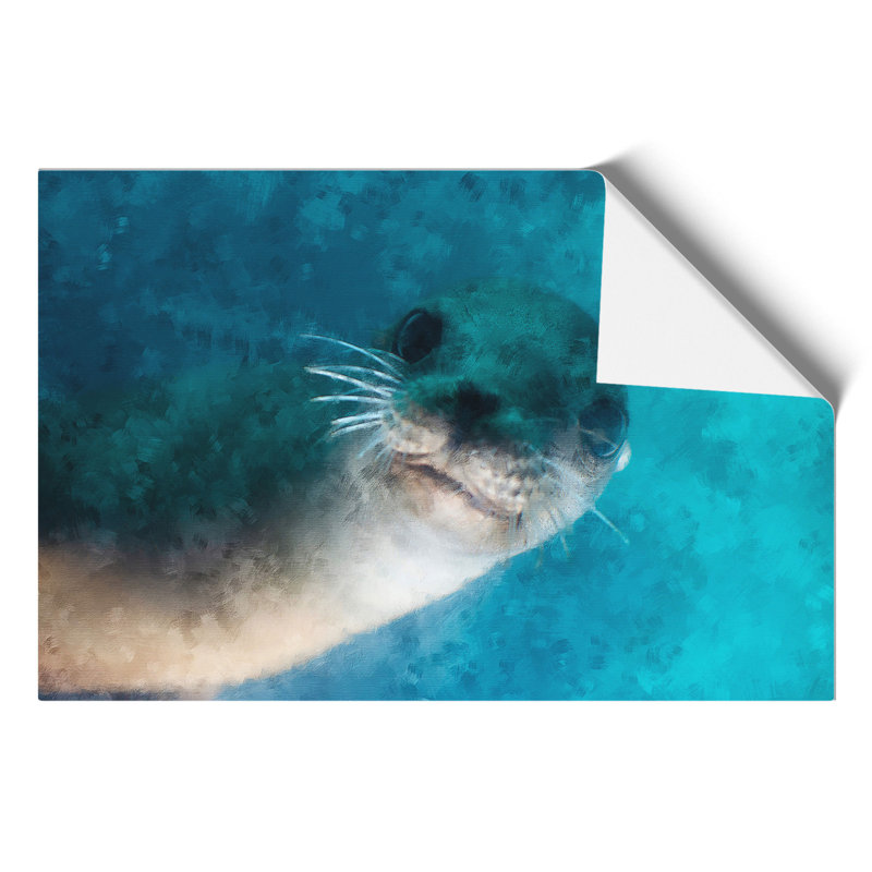 Face of a Seal 1 Piece Wall Art, 21cm H x 30cm W x 0.1cm D