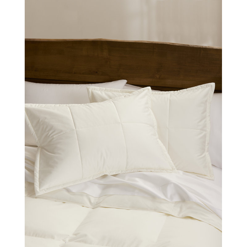 Cuddledown Chroma Comforter Sham, Ivory