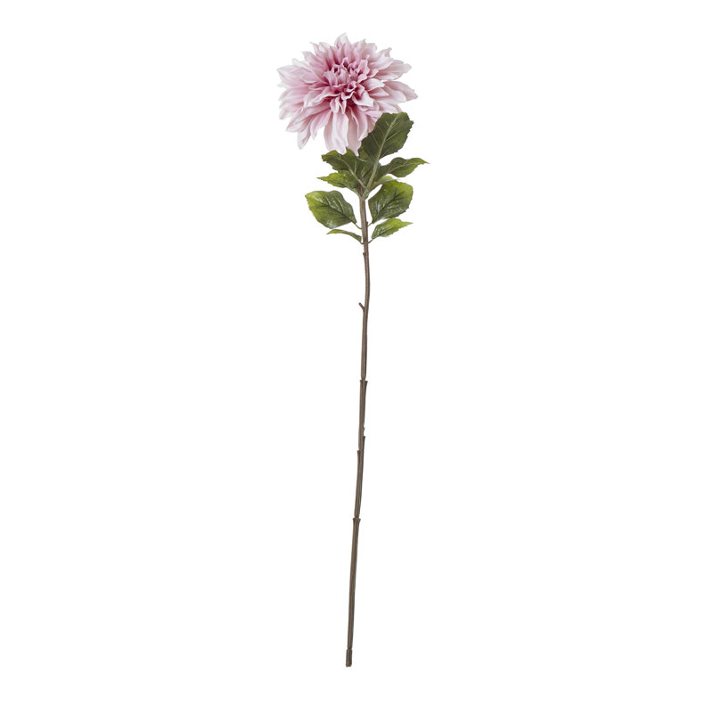 Dahlia Arrangement, 54cm H x 7cm W x 7cm D, Pink