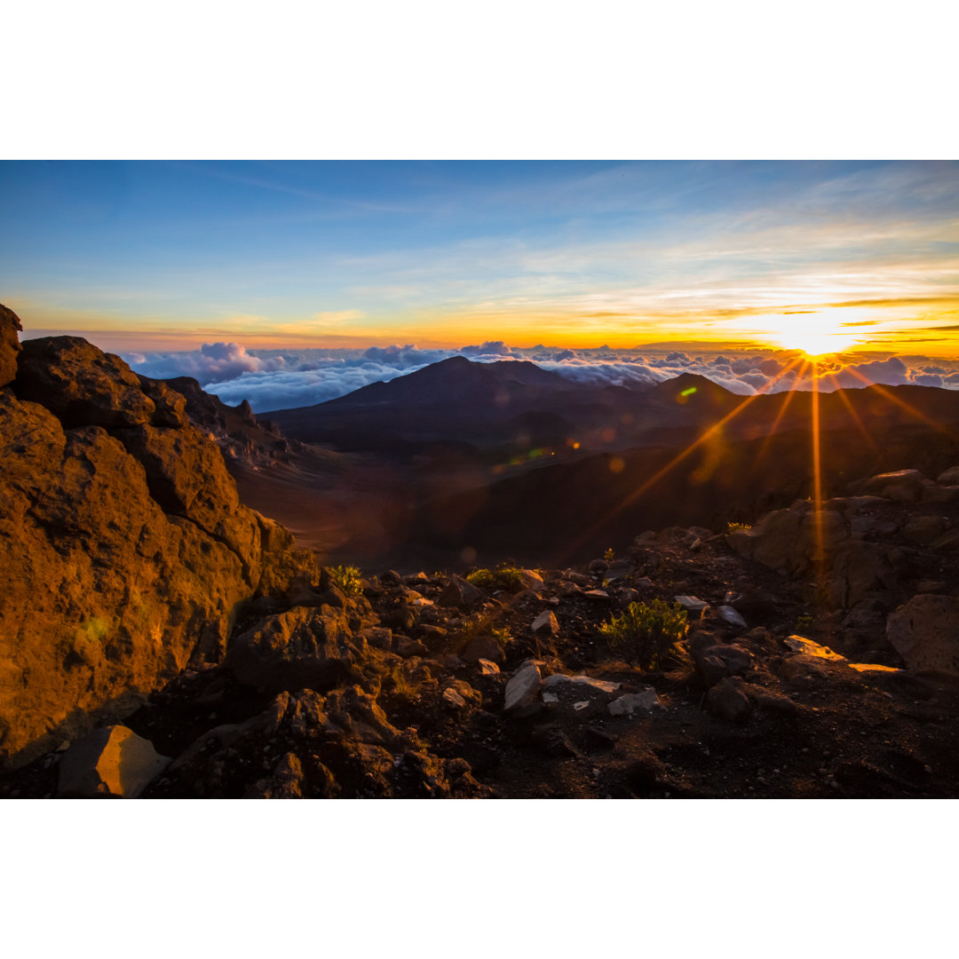 Sonnenaufgang im Nationalpark von FrozenShutter - Druck