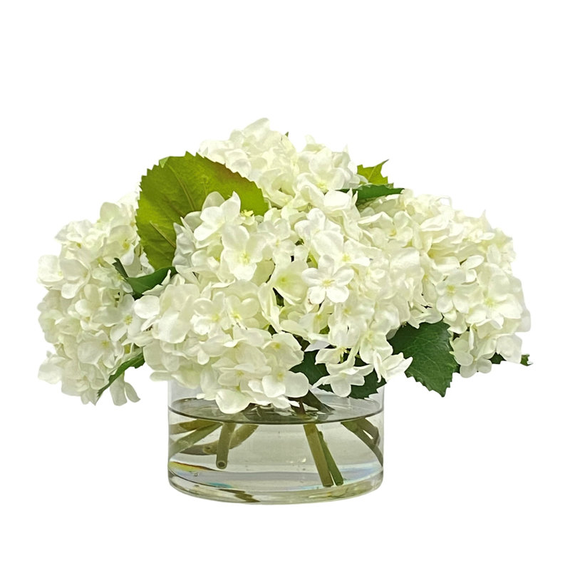 Hydrangea In A Cylinder Vase