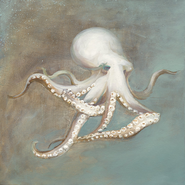 Reproduction d’art sur toile tendue, "trésors from the sea v", H 18 po x l 18 po x P 1,5 po, Toile tendue