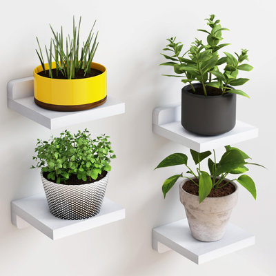 Ottava Square Solid Wood Floating Shelf