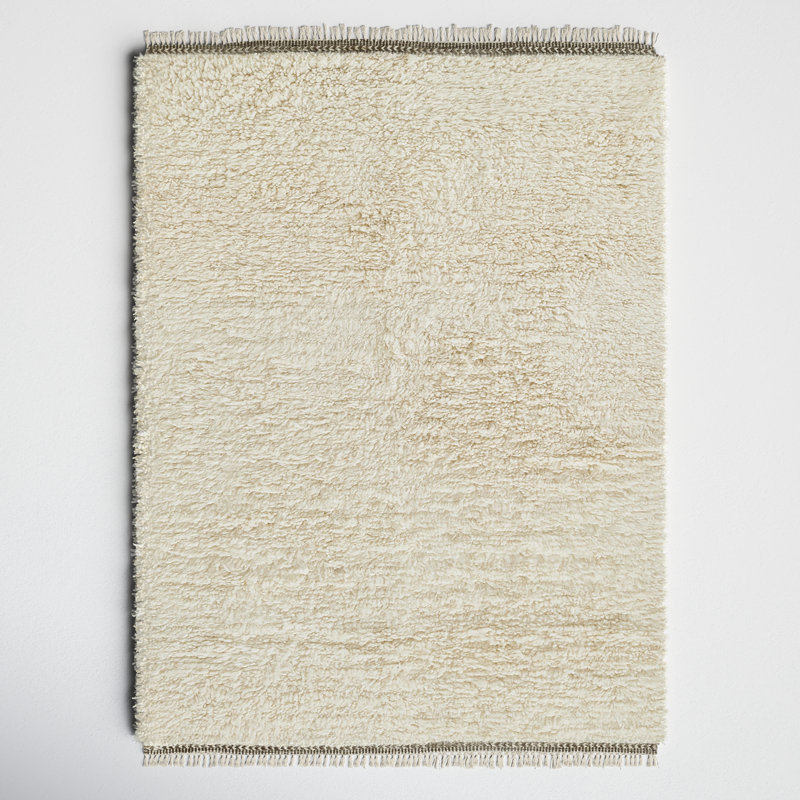 Astell Solid Color Handmade Flatweave Wool Area Rug in Ivory, Rectangle 9' x 12'