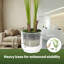 180cm Plant