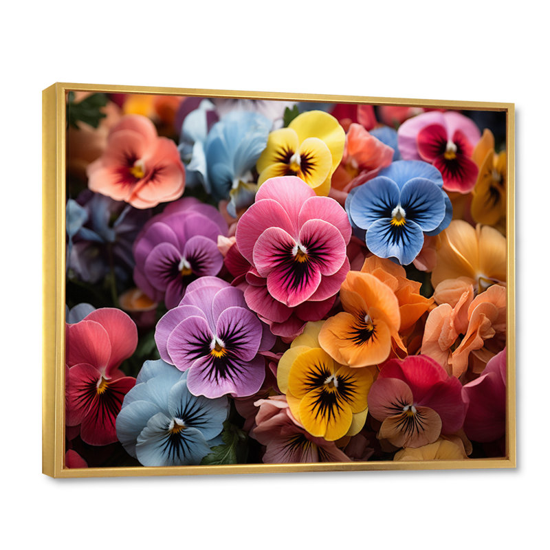Colourful Pansies Field Vibrant - Floral Wall Art Prints, Cadre flottant doré, H 12 po x l 20 po x P 1 po