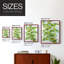 Ivy, reproduction encadrée - bois massif-2131993466-2131993462