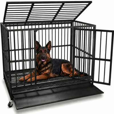 Cage pour chien robuste de 48 pouces pour grands chiens