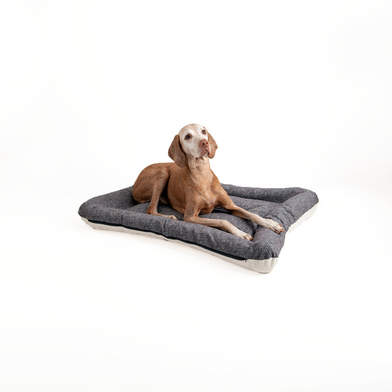 Lit pour chien et chat en microsuède réversible ivoire All Day with Cloud 9, H 5 po x l 40 po x P 30 po, Étain Merlin