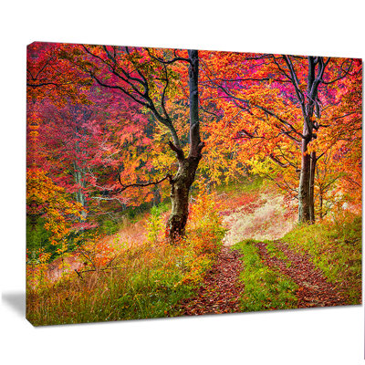 Paysage, arbres d'automne, photographie sur toile - Arbres d'automne colorés