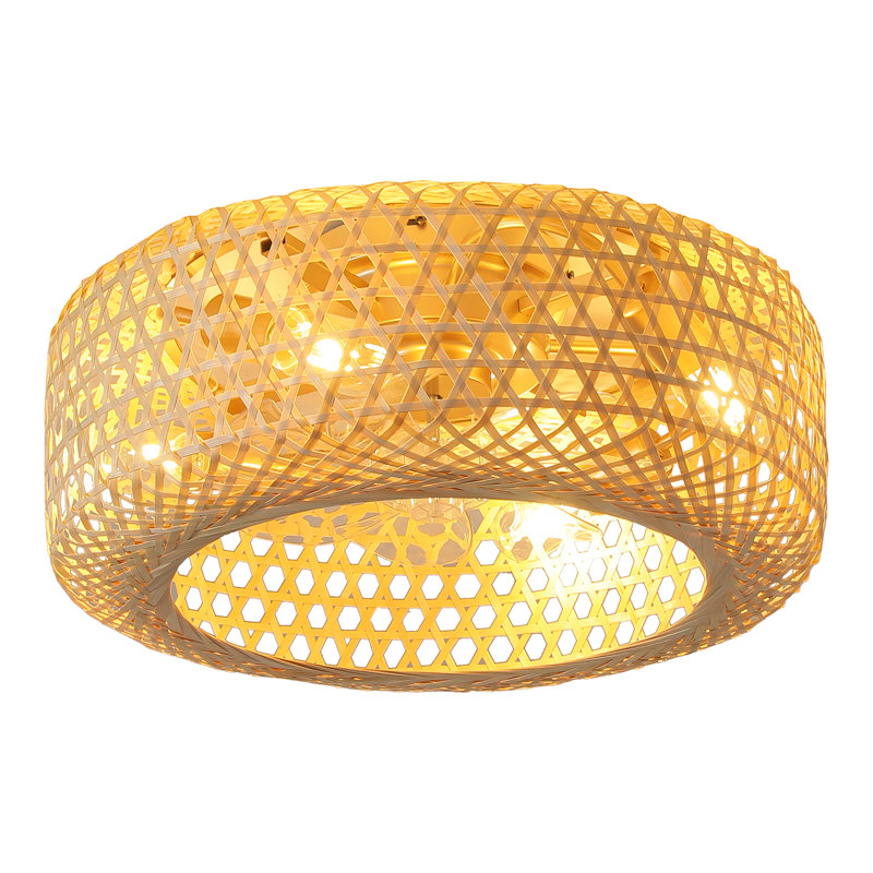Ventilateur de plafond en cage avec ensemble d'éclairage et télécommande Anlaug 20 po Boho