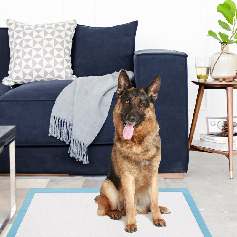 Laddonia Pet Pee Pad