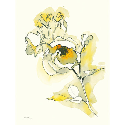 " Carols Roses IV "