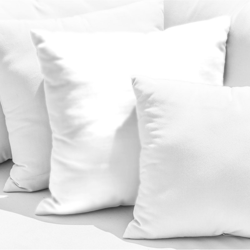 Insert de coussin extérieur Hartsburg, Carré 20 po