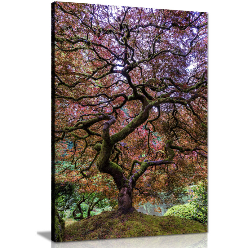Tall Japanese Maple Tree Yellow Orange Leaves - Wrapped Canvas Art Prints, 61cm H x 41cm W