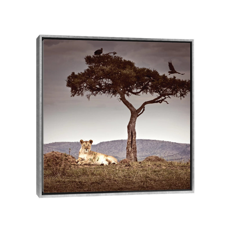 « Observance I » par Klaus Tiedge-reproduction de photo, Toile avec cadre argenté, Pas de tapis, H 18 po x l 18 po x 1,5 po