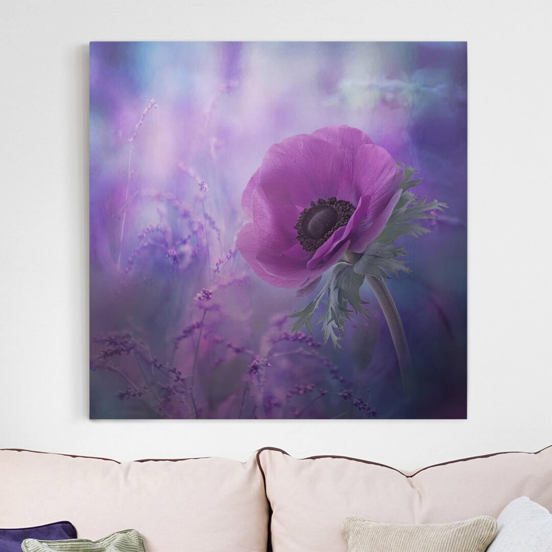 Leinwandbild Anemonenblüte in Violett