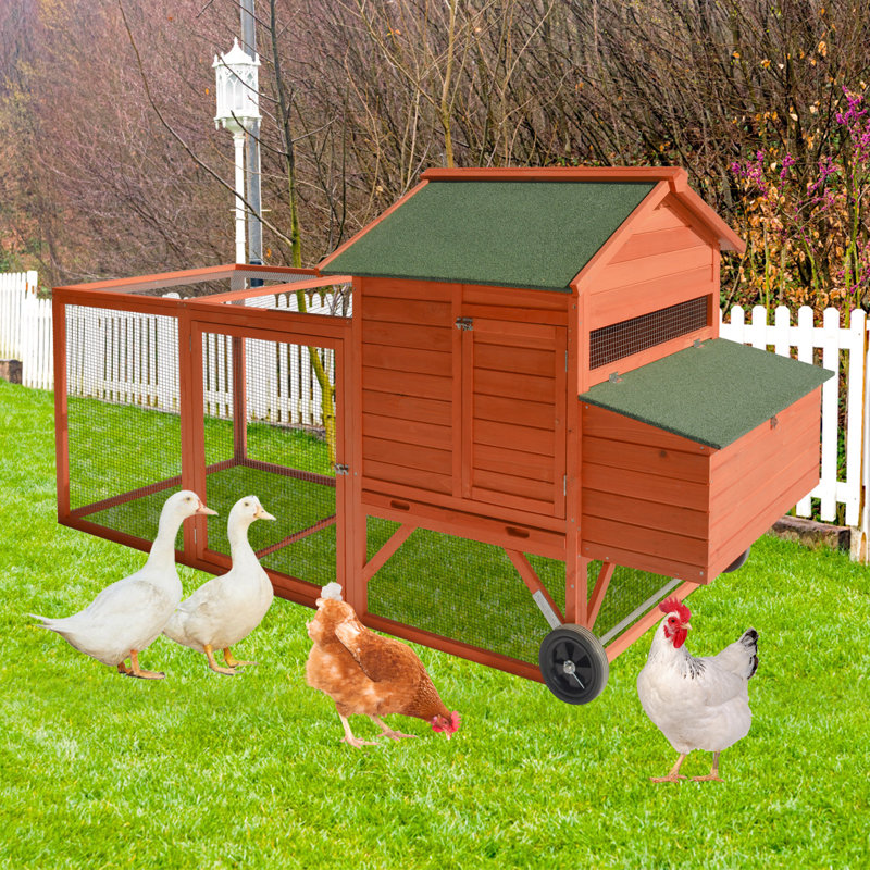 Poulailler Tucker Murphy Pet ™ avec poulailler