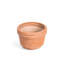 Felipe Planter Small-2060953717