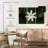 Harnek Fresh Jasmine Flower-108080907