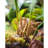 23.6'' Faux Fern Plant