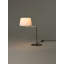 Metal Desk Lamp