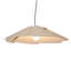 Fuchsia 1 - Light Pendant-99923667