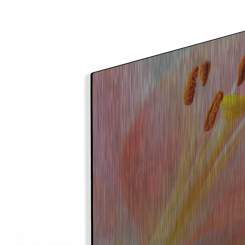 «Pink Lily So Soft» par Pamela Plummer, H 16 po x l 12 po