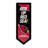 NFL LED Pennant Shaped Lighted Wall Sign-73092281