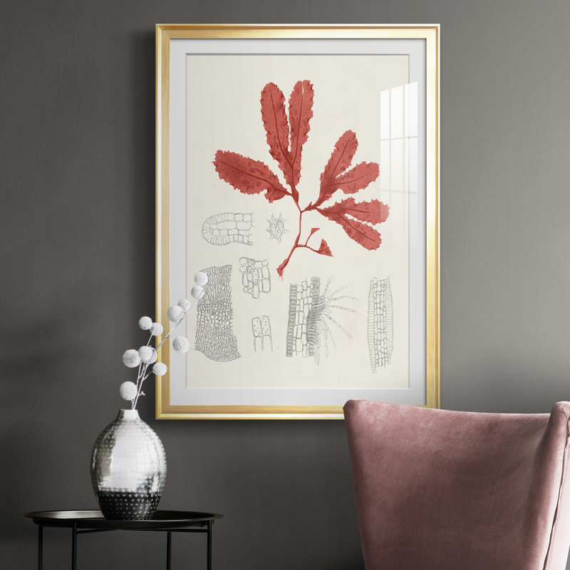 Étude de corail rétro II - reproduction de cadre photo, H 42,5 po x l 30,5 po x P 1 po, Or