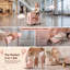 Valise Ride-On-53468617