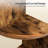  Elburt Corner Bookcase, 4 Tier floating corner shelf