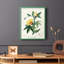 «Turpin Tropical Botanicals VI», reproduction encadrée - bois massif-1354887340-1354887343