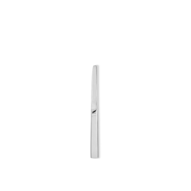Santiago Stainless Steel Dinner Knife
