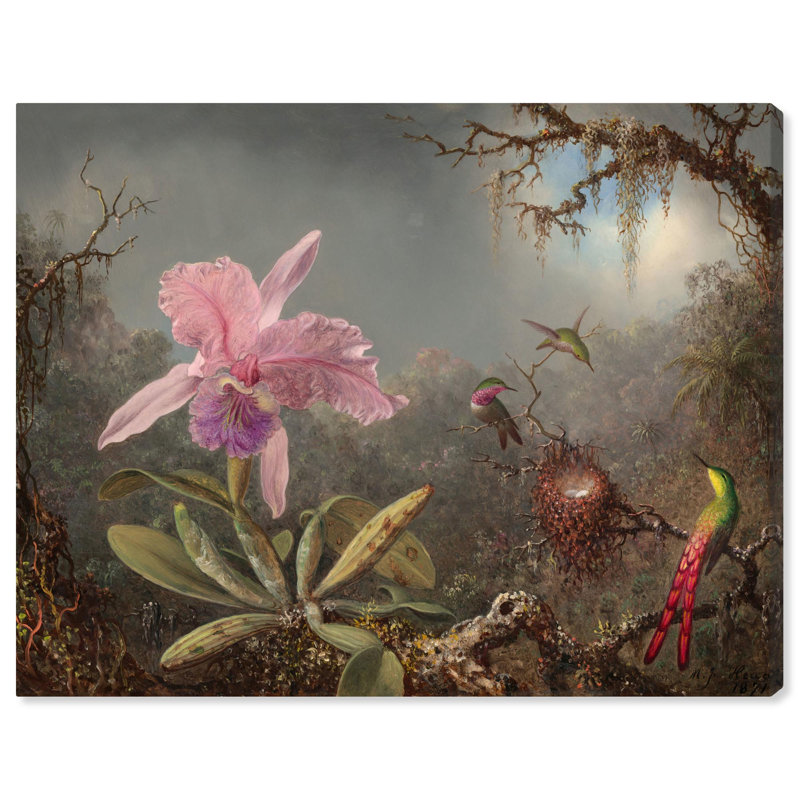 Art, art floral classique, orchidées Heade et colibris, H 24 po x l 30 po, Toile tendue